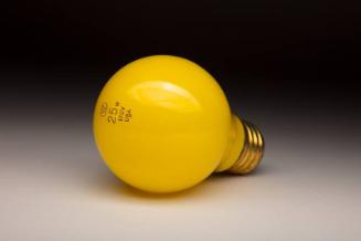 Astrodome light bulb