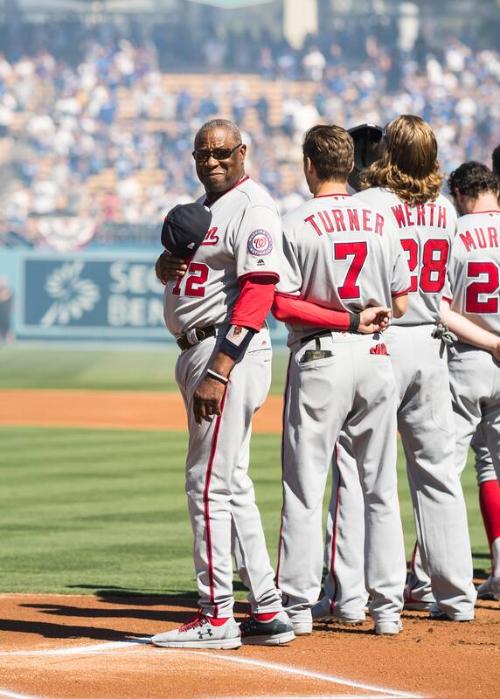 Dusty Baker on the Field Before Game 3 of the 2016 NLDS photograph, 2016 October 10