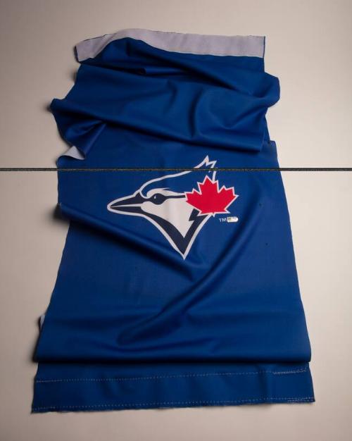 Toronto Blue Jays seat cover, 2020