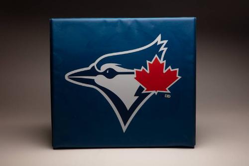 Toronto Blue Jays seat cushion, 2020