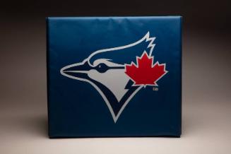 Toronto Blue Jays seat cushion, 2020