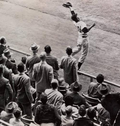 Monte Irvin Fielding photograph, probably 1951