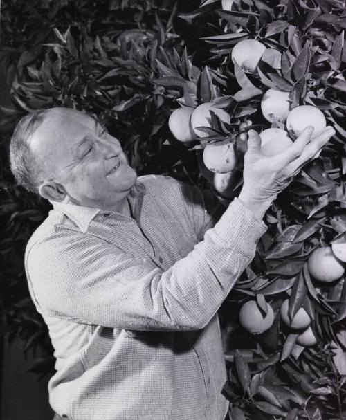 Ty Cobb photograph, 1944 February