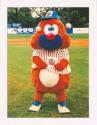 Pittsfield Mets Mascot photomechanical print, circa 1995