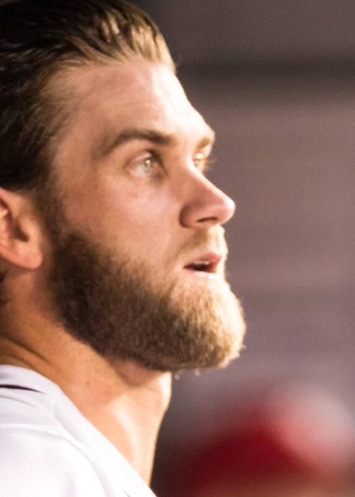 Bryce Harper in the Dugout photograph, 2017 June 12