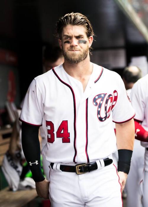 Bryce Harper in the Dugout photograph, 2017 June 14