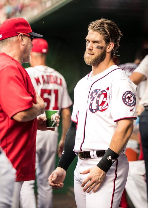 Bryce Harper in the Dugout photograph, 2017 June 14