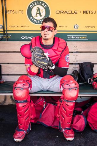 Jose Lobaton in the Dugout photograph, 2017 June 03