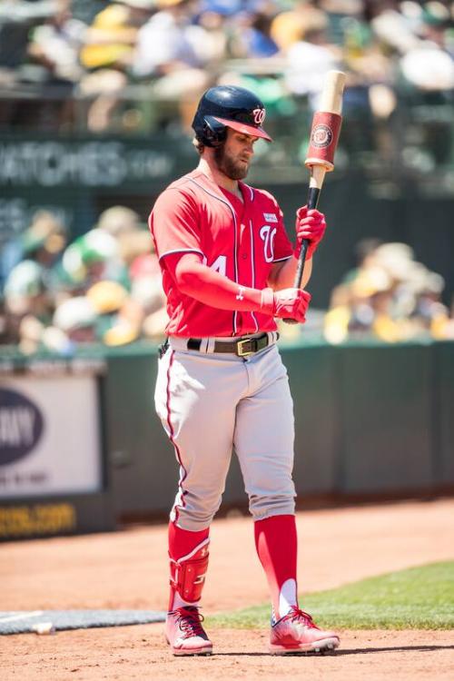 Bryce Harper on Deck photograph, 2017 June 04