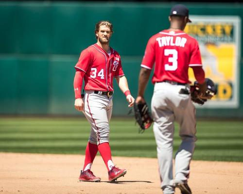 Bryce Harper on the Field photograph, 2017 June 04