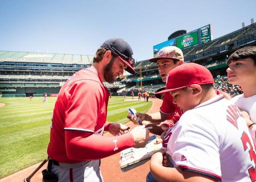 Bryce Harper Signing Autographs photograph, 2017 June 04