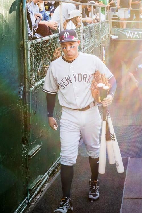 Ronald Torreyes in the Dugout photograph, 2017 June 16