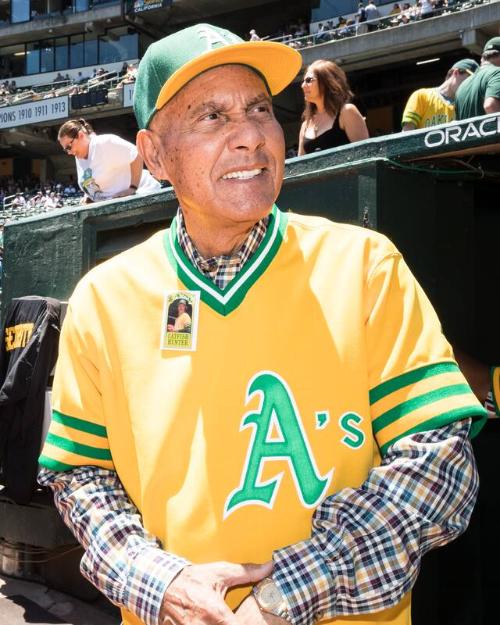 Bert Campaneris in the Dugout photograph, 2017 June 17