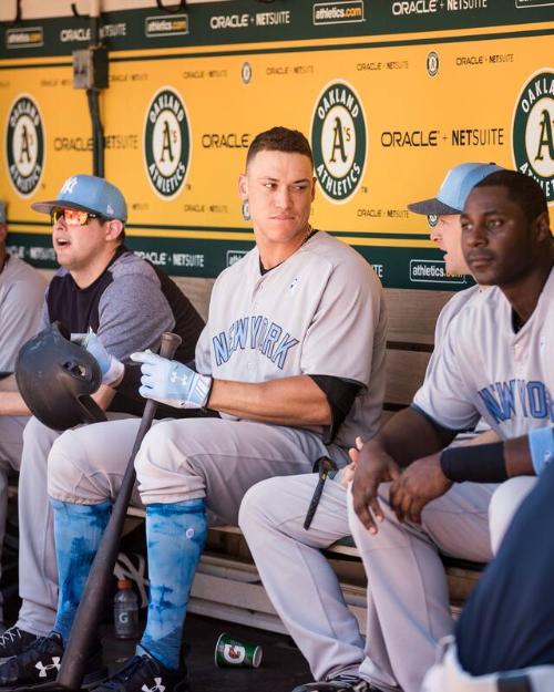 Aaron Judge in the Dugout photograph, 2017 June 18