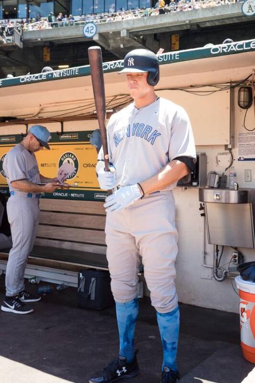 Aaron Judge in the Dugout photograph, 2017 June 18