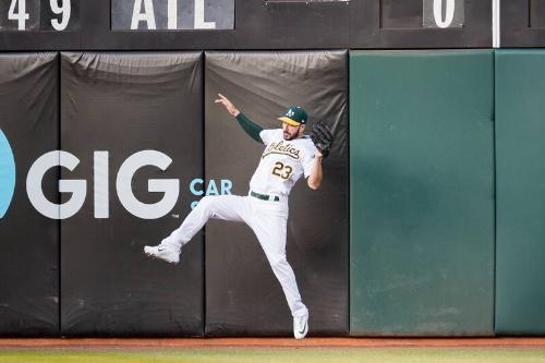 Matt Joyce Fielding photograph, 2017 May 18