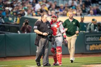 Marty Foster and Christian Vazquez on the Field photograph, 2017 May 18