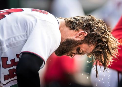 Bryce Harper in the Dugout photograph, 2017 June 11