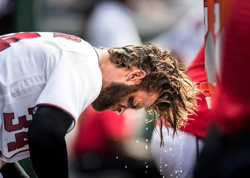 Bryce Harper in the Dugout photograph, 2017 June 11