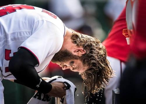 Bryce Harper in the Dugout photograph, 2017 June 11