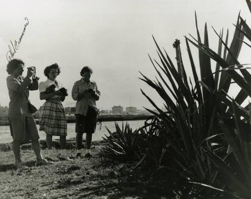 Players at Morro Castle photograph, 1947