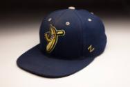 Savannah Bananas 2021 cap