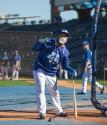 2014 World Series Media Day photograph, 2014 October 20