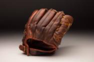 Ted Williams glove