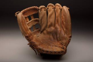 Andre Dawson glove