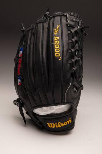 Kirby Puckett glove