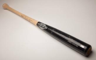 Daniel Norris home run bat