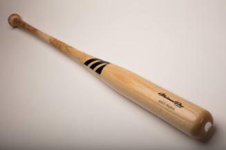 Mike Piazza 352nd Career home run bat