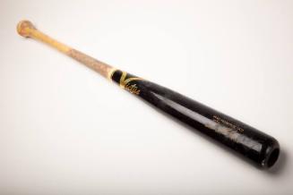 Tim Anderson bat